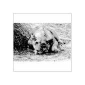 Jonge leeuw rubberstempel (Afrduk)