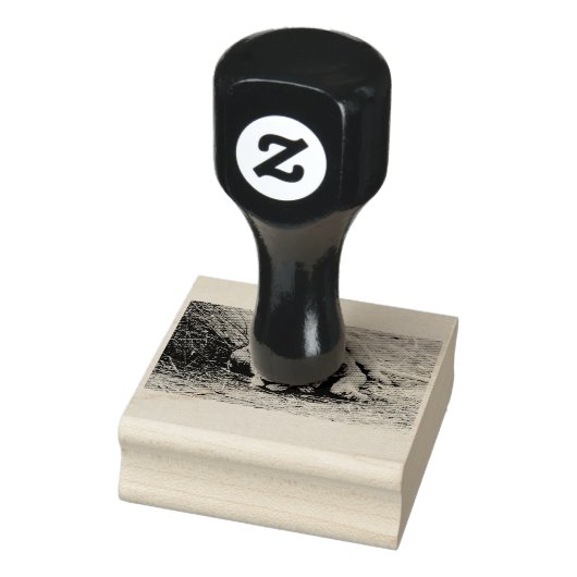 Jonge leeuw rubberstempel (Stempel)