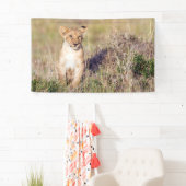 Jonge leeuw spandoek (Insitu)