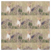 Jonge leeuw stof (Swatch)