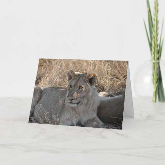 Jonge Leeuw, Tanzania Kaart (Voorkant)