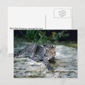 Jonge lub briefkaart (Voorkant / Achterkant)