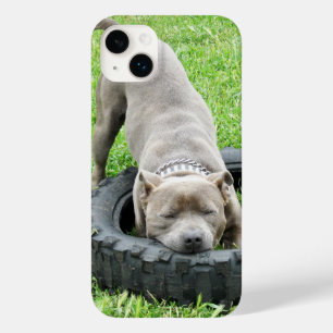 Jonge mannelijke Staffy speelt met zijn band, Case-Mate iPhone 14 Plus Hoesje