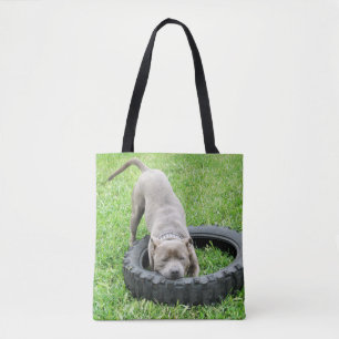 Jonge mannelijke Staffy speelt met zijn band, Tote Bag