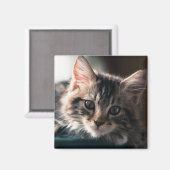 Jonge Mannelijke Tabby Kat 2 Magneet (Voorkant / Achterkant)