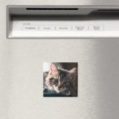 Jonge Mannelijke Tabby Kat 2 Magneet (Insitu (Vaatwasser))