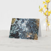 "Jonge Meervallen Voeren" Verjaardagskaart Kaart (Gele Bloem)