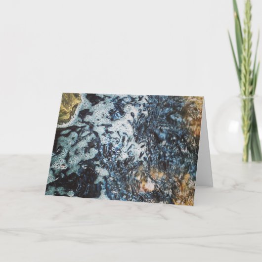 "Jonge Meervallen Voeren" Verjaardagskaart Kaart (Voorkant)