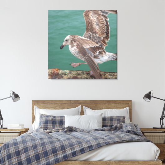 jonge meeuw canvas afdruk (Insitu (Slaapkamer))