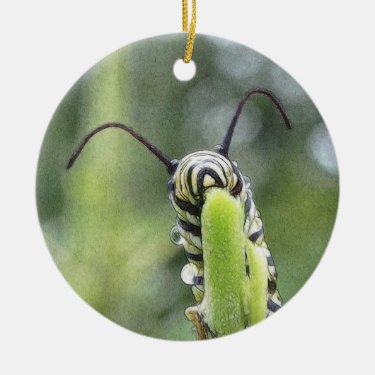 Jonge Monarch Butterfly Caterstyle Keramisch Ornament (Voorkant)