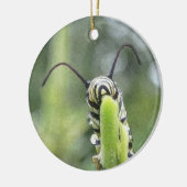 Jonge Monarch Butterfly Caterstyle Keramisch Ornament (Links)