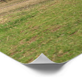 Jonge monnik en gebedsvaandels poster (Hoek)