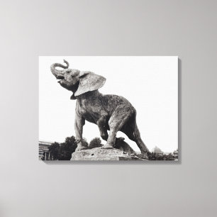 Jonge olifant gevangen in een val canvas afdruk