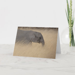 JONGE OLIFANT IN HOGE GELE GRAS KAART