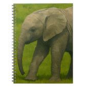 Jonge olifant met voogd in grasreservaat notitieboek (Voorkant)