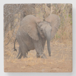 Jonge olifant met wijd uitstaande oren. stenen onderzetter