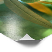 Jonge olijven in een bijkantoor foto afdruk (Hoek)