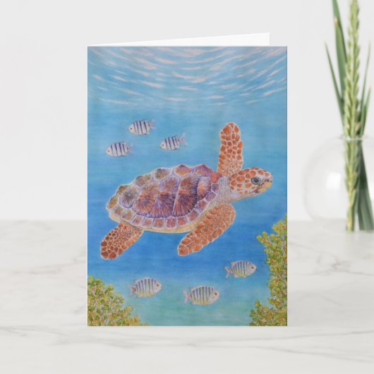 Jonge onechte karetschildpad kaart (Voorkant)