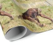 Jonge orang-oetan die op gras loopt cadeaupapier (Rol Hoek)