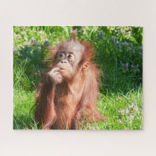 Jonge orang-oetan diep in gedachten legpuzzel