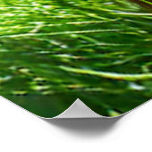 Jonge orang-oetan diep in gedachten poster (Hoek)