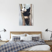 Jonge Panda die een boom beklimt, China Canvas Afdruk (Insitu (Slaapkamer))