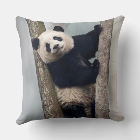 Jonge Panda die een boom beklimt, China Kussen (Achterkant)