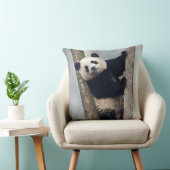 Jonge panda klimt in een boom, China Kussen (Stoel)