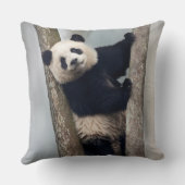 Jonge panda klimt in een boom, China Kussen (Achterkant)