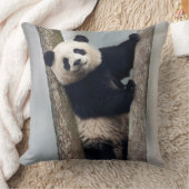 Jonge panda klimt in een boom, China Kussen (Deken)