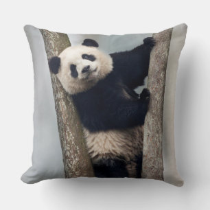 Jonge panda klimt in een boom, China Kussen