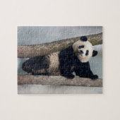 Jonge panda klimt in een boom, China Legpuzzel (Horizontaal)