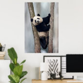 Jonge panda klimt in een boom, China Poster (Thuiskantoor)