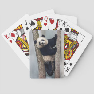 Jonge panda klimt in een boom, China Speelkaarten