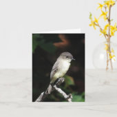 Jonge Phoeden in Kaart (Gele Bloem)