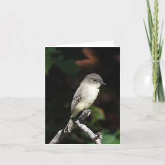 Jonge Phoeden in Kaart