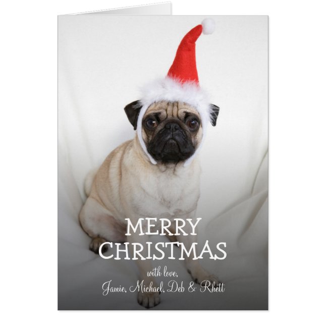 Jonge pug die het pet van de Kerstman dragen (Voorkant)