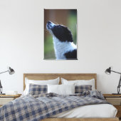 jonge pup Border Collie Canvas Afdruk (Insitu (Slaapkamer))