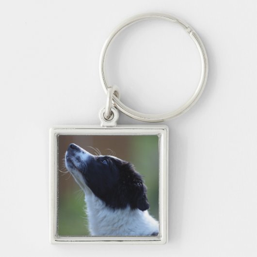 jonge pup Border Collie Sleutelhanger (Voorkant)
