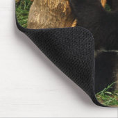 Jonge reuzenpanda. muismat (Hoek)