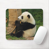 Jonge reuzenpanda. muismat (Met muis)