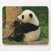 Jonge reuzenpanda. muismat (Voorkant)