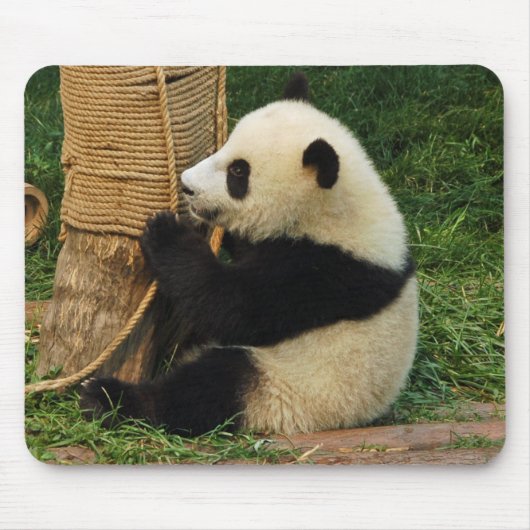 Jonge reuzenpanda. muismat (Voorkant)