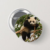 Jonge reuzenpanda ronde button 5,7 cm (Voorkant /achterkant)