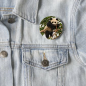 Jonge reuzenpanda ronde button 5,7 cm (In situ)