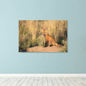 Jonge Rode Vos bij Gulden Uur Canvas Afdruk (Insitu (Houten vloer))