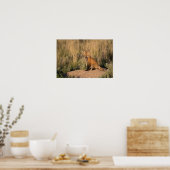 Jonge Rode Vos bij Gulden Uur Poster (Keuken)