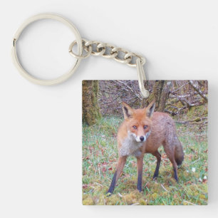 Jonge rode vos op zachte mosgrond natuur liefde sleutelhanger