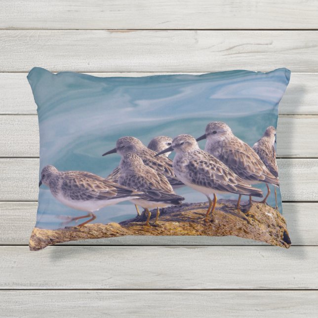 Jonge Rosse Steenlopers Buitenkussen (Voorkant)