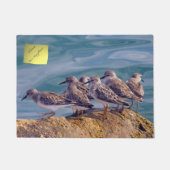Jonge Rosse Steenlopers Deurmat (Voorkant)
